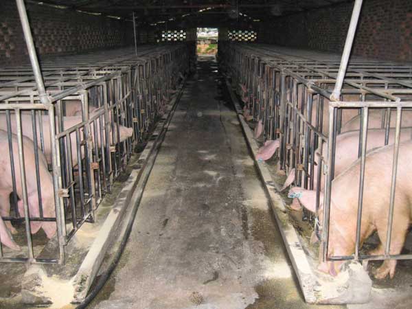 �����ȑ������ʽ�ӽ��_�P